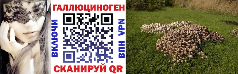 Галлюциногенные грибы GOLDEN TEACHER Макушино